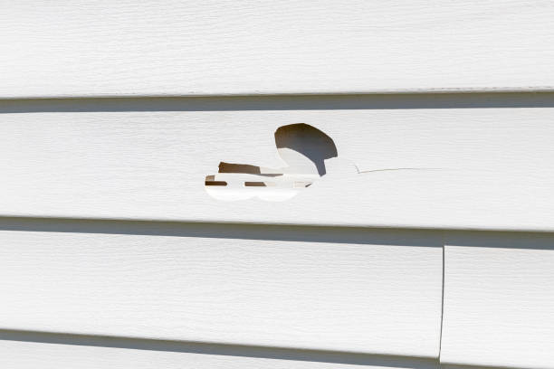 Same-Day Junk Removal Services in Vienna Bend, LA